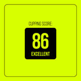 Heleph Tsegab Specialty Coffee cupping score