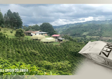 Het sugar cane decaf-proces: zo worden onze ZERO koffiebonen natuurlijk cafeïnevrij