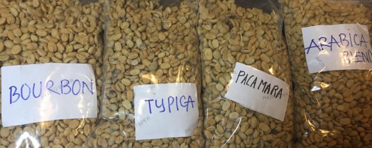 4 verschillende koffiesoorten